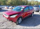 Ford Escape Sel Image 3