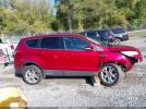Ford Escape Sel Image 12