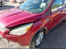 Ford Escape Sel Image 5