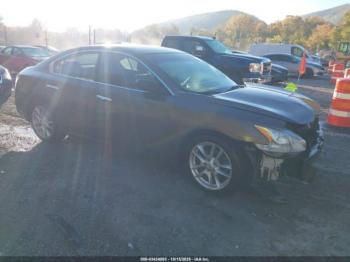  Salvage Nissan Maxima