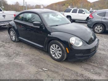  Salvage Volkswagen Beetle
