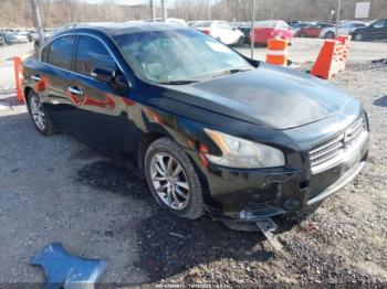  Salvage Nissan Maxima