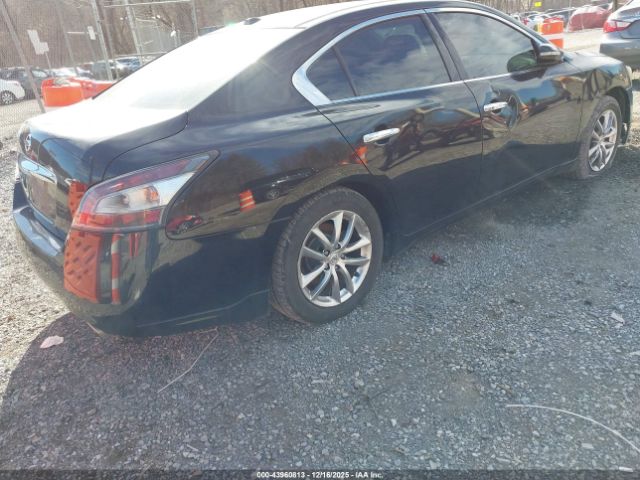 Nissan Maxima 3.5 Sv Image 3