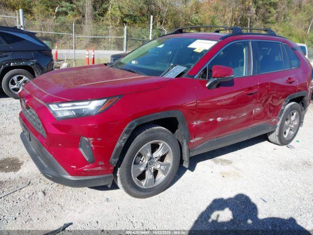 Toyota RAV4 Le Image 4