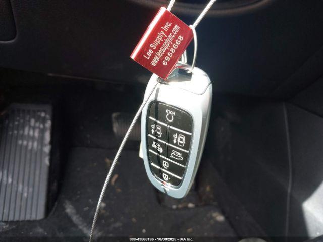 Hyundai PALISADE Calligraphy Image 10