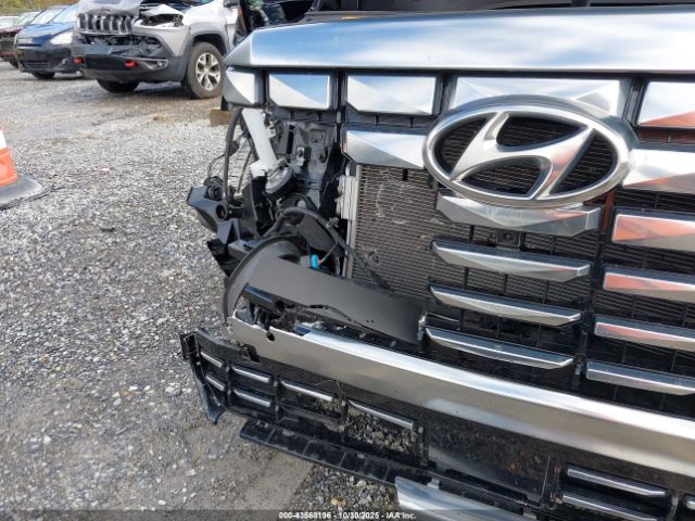 Hyundai PALISADE Calligraphy Image 5