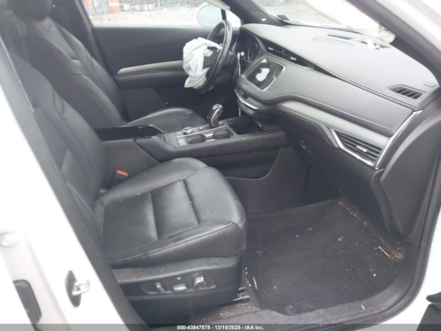 Cadillac XT4 Premium Luxury Image 14