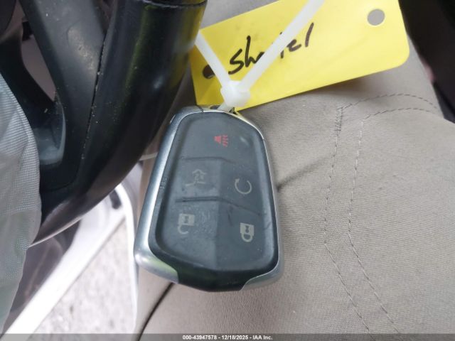 Cadillac XT4 Premium Luxury Image 6