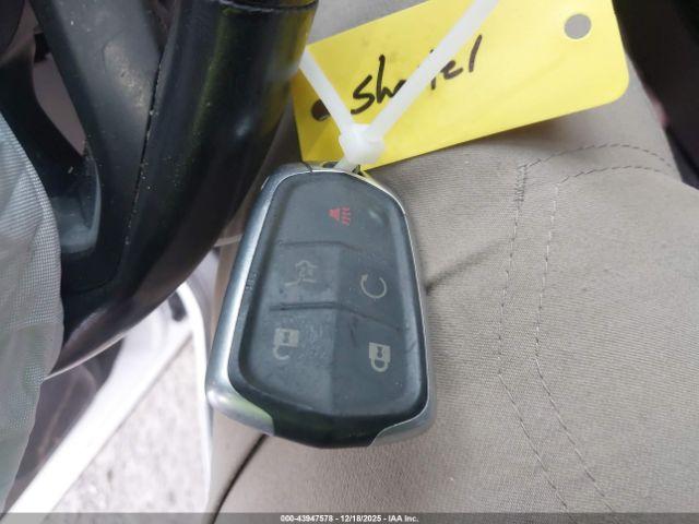 Cadillac XT4 Premium Luxury Image 6