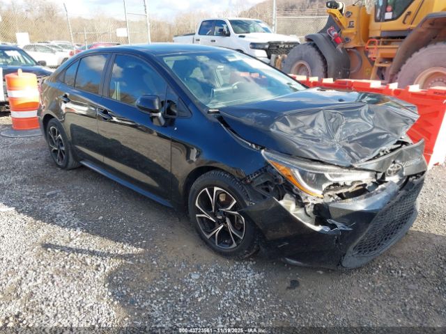 Toyota Corolla Le Image 1