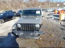 Jeep Gladiator Willys 4x4 Image 13