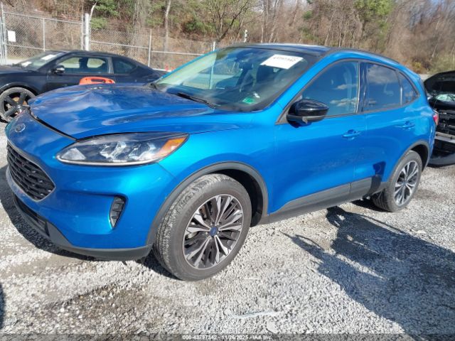 Ford Escape Se Image 5