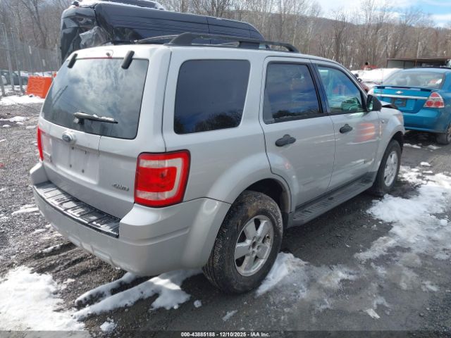 Ford Escape Xlt Image 5