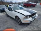 Ford Mustang Image 1