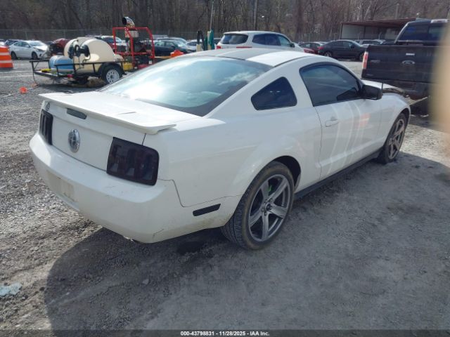 Ford Mustang Image 18