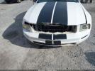 Ford Mustang Image 15