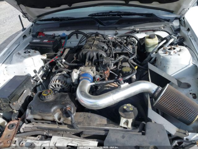 Ford Mustang Image 6