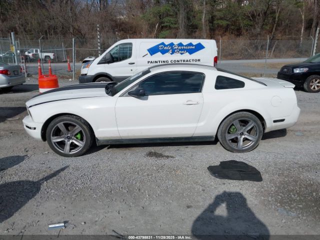 Ford Mustang Image 14