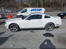 Ford Mustang Image 14