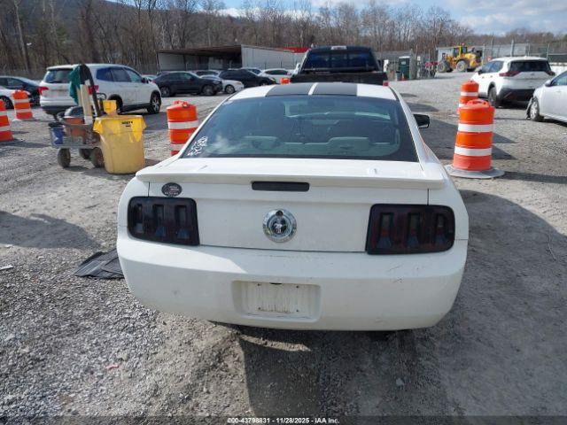 Ford Mustang Image 17