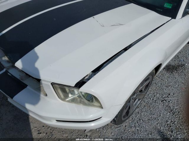 Ford Mustang Image 16