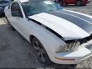 Ford Mustang Image 3