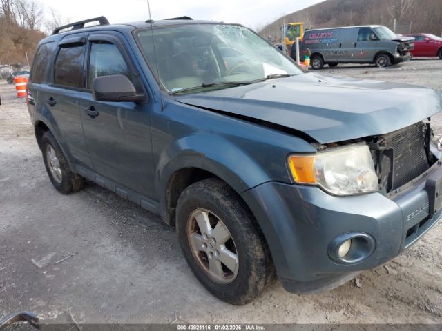 Ford Escape Xlt Image 1