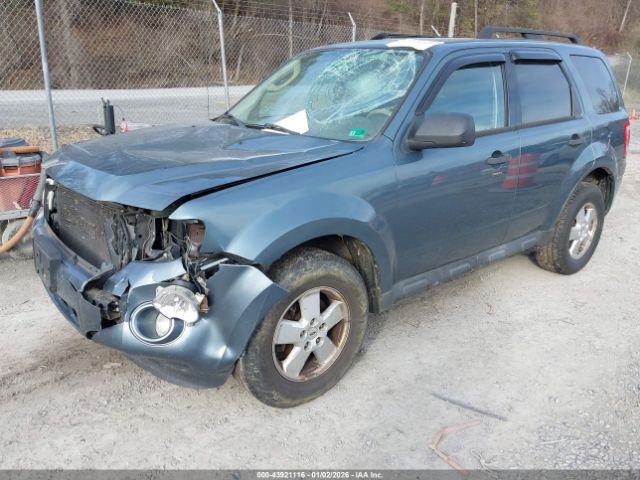 Ford Escape Xlt Image 2