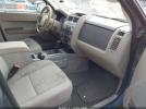Ford Escape Xlt Image 3
