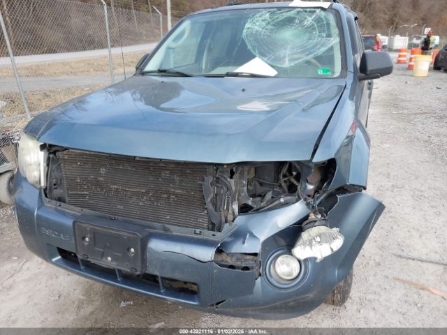 Ford Escape Xlt Image 5